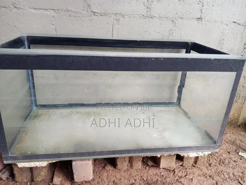 fish tank