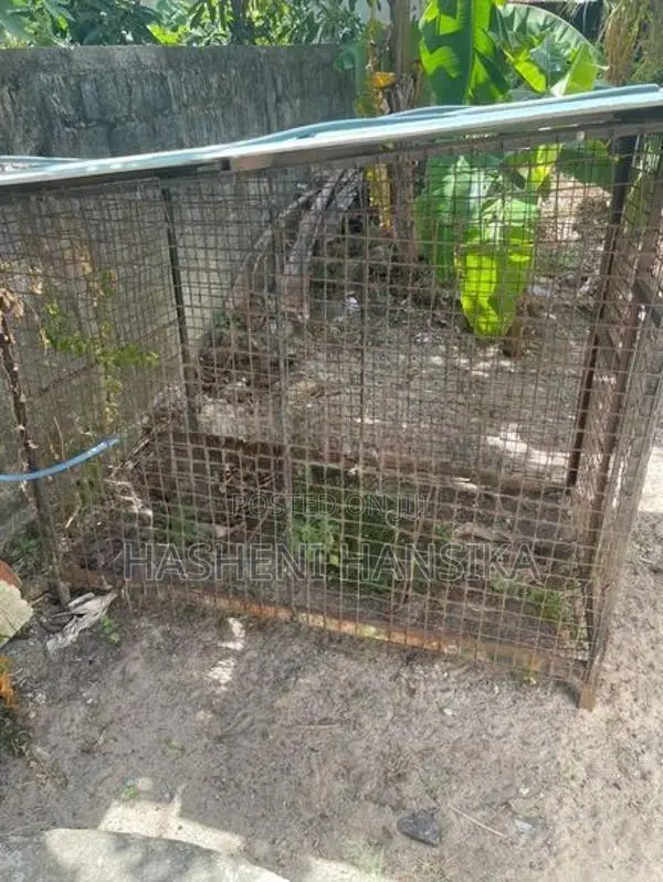 Dog Cage