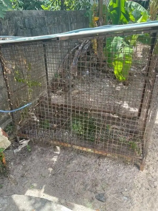 Dog Cage