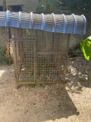 Dog Cage