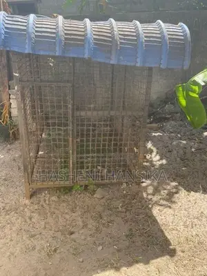 Dog Cage