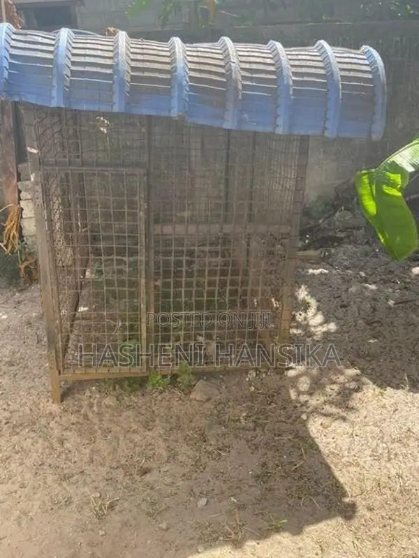 Dog Cage