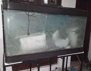 මාළු ටැංකිය