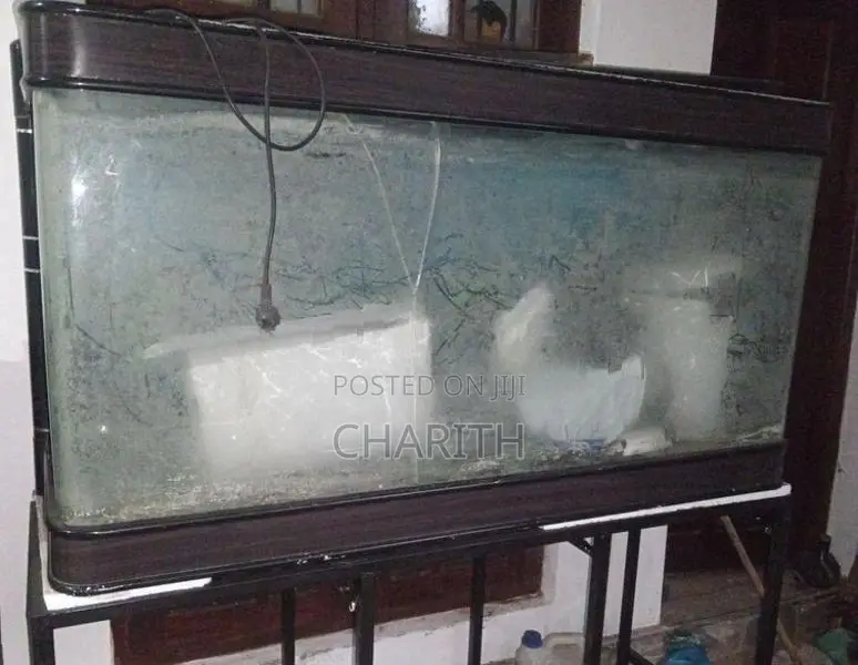 මාළු ටැංකිය