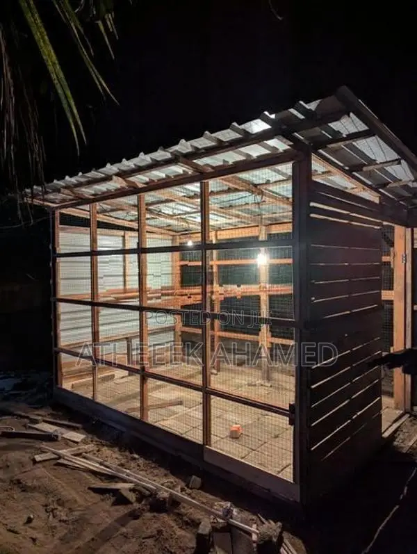 Birds Cage