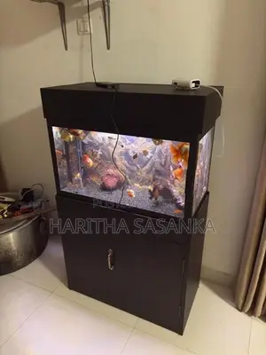 Fish Tank