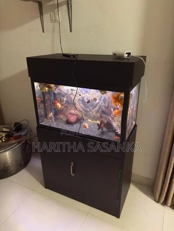 Fish Tank
