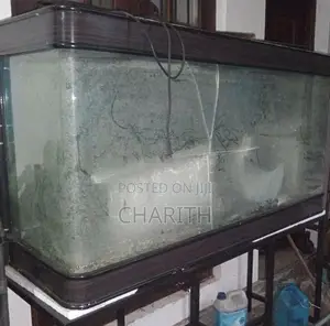 මාළු ටැංකිය