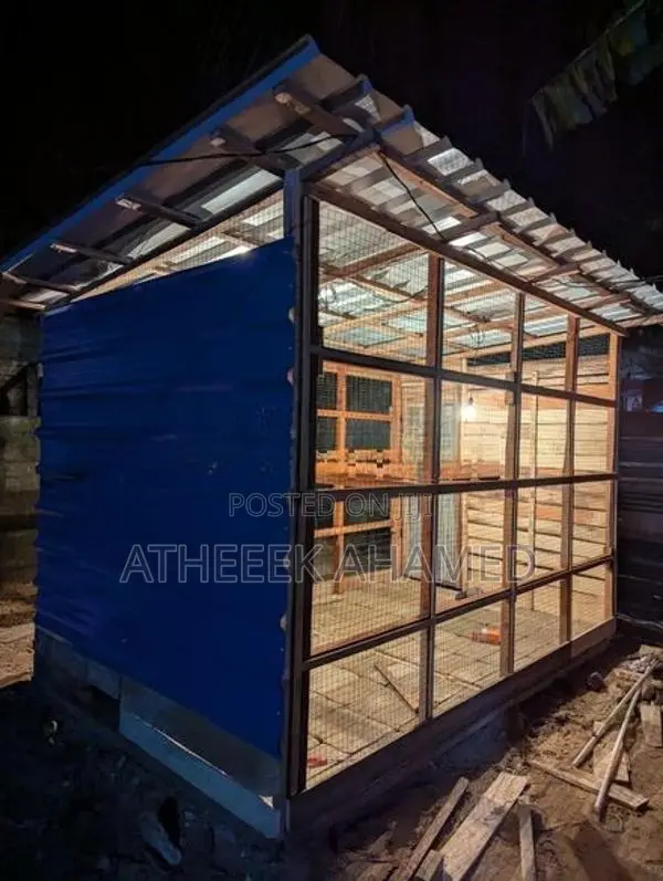 Birds Cage