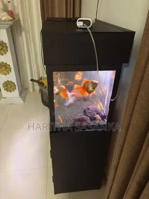 Fish Tank