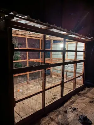 Birds Cage