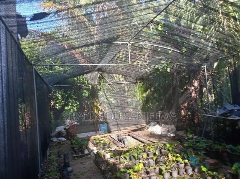 Polly tunnel