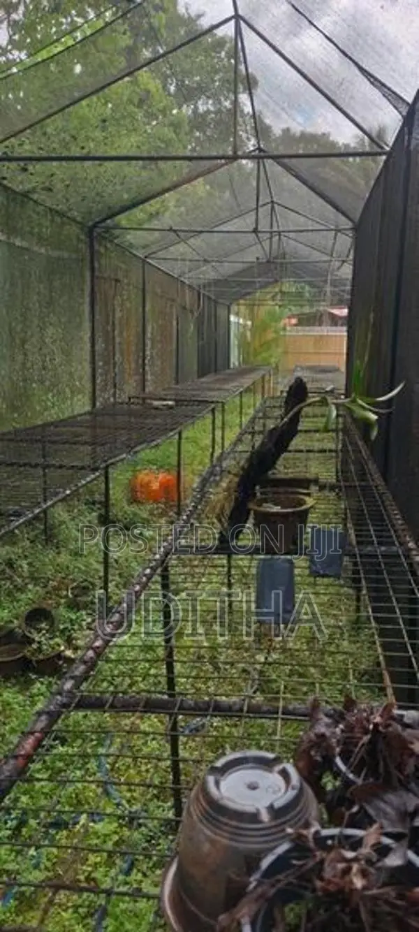 Orchid Net House