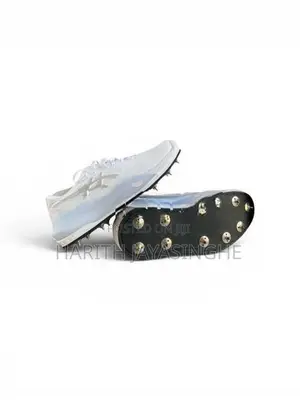 Asics Boots