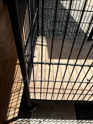 Dog Cage