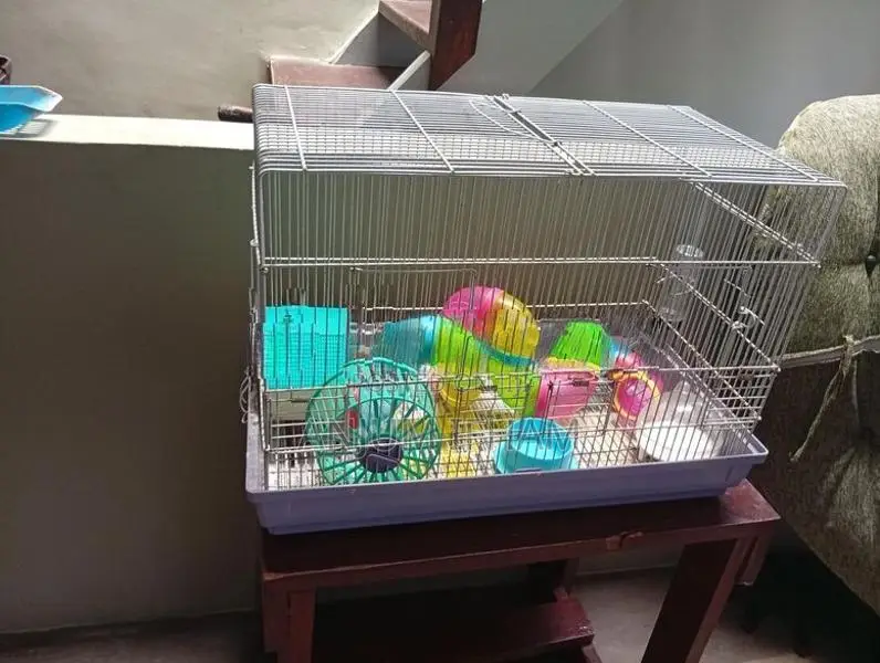 hamster cage with all accessories