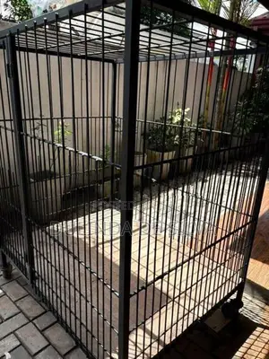 Dog Cage
