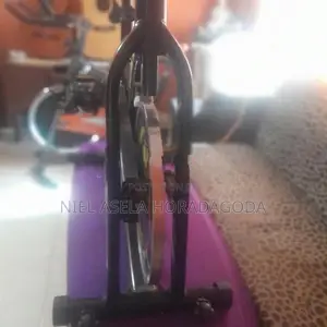 spine bike