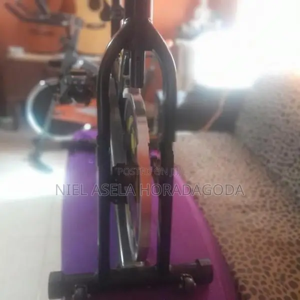 spine bike