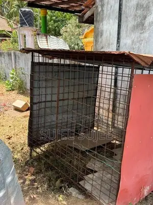 dog cages