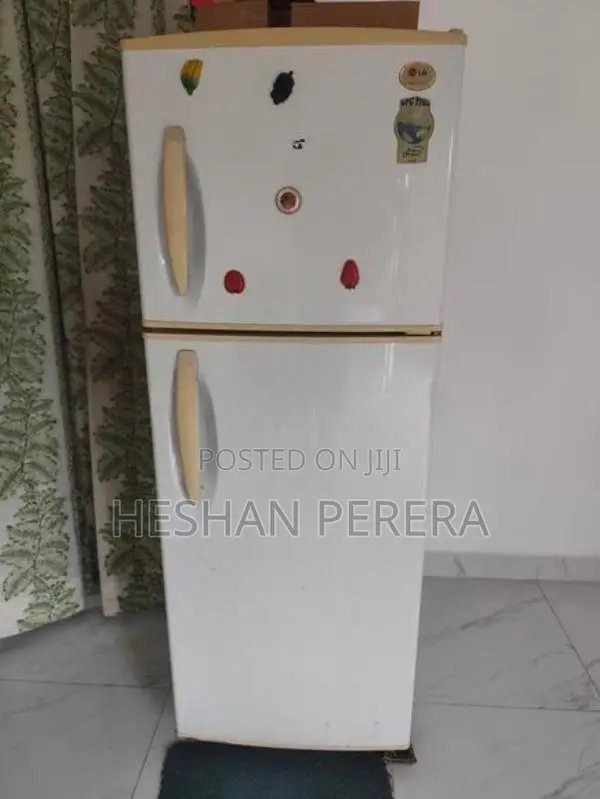 Fridge