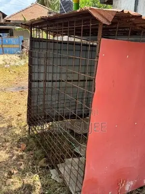 dog cages