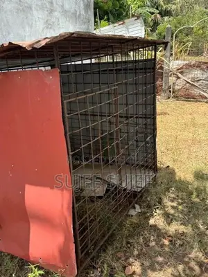 dog cages