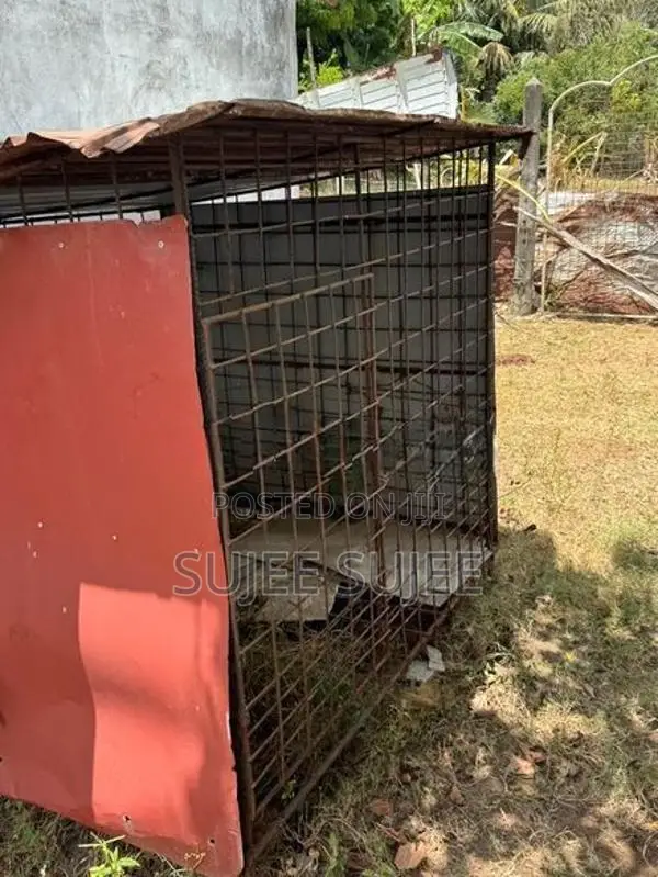 dog cages