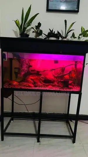 Fish tank full set