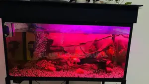 Fish tank full set