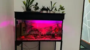 Fish tank full set