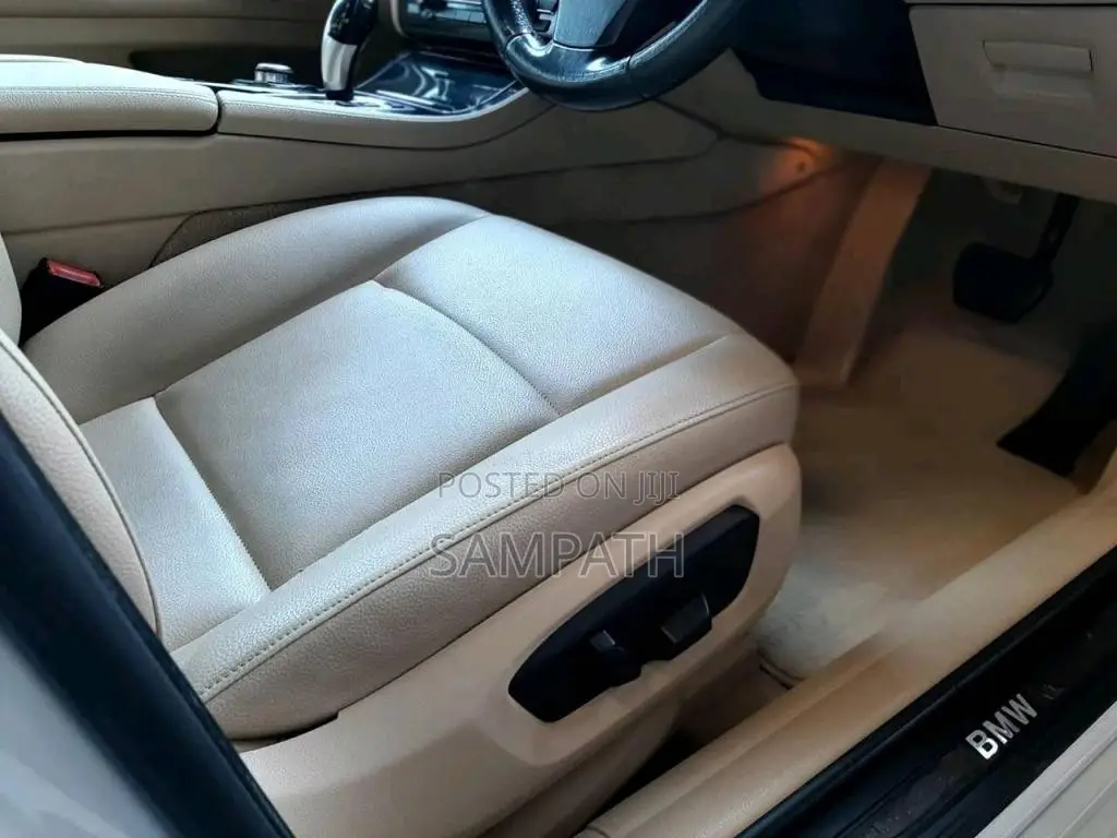 BMW 520D 2016 Car (Used)
