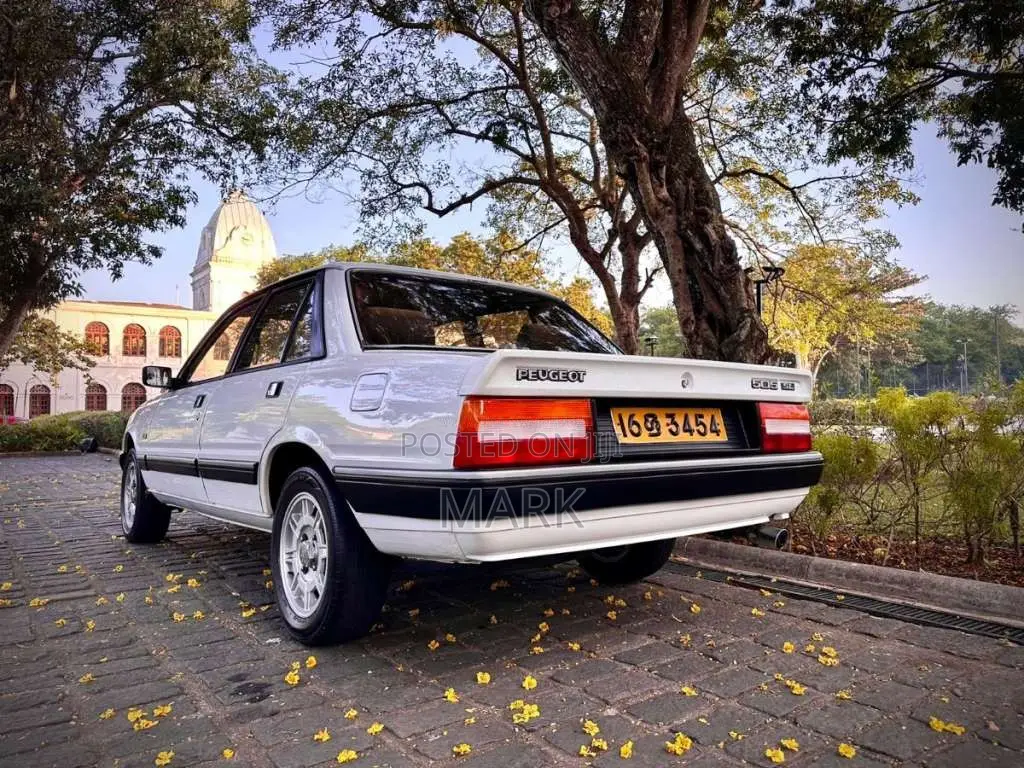 Peugeot 505 1988 Car (Used)