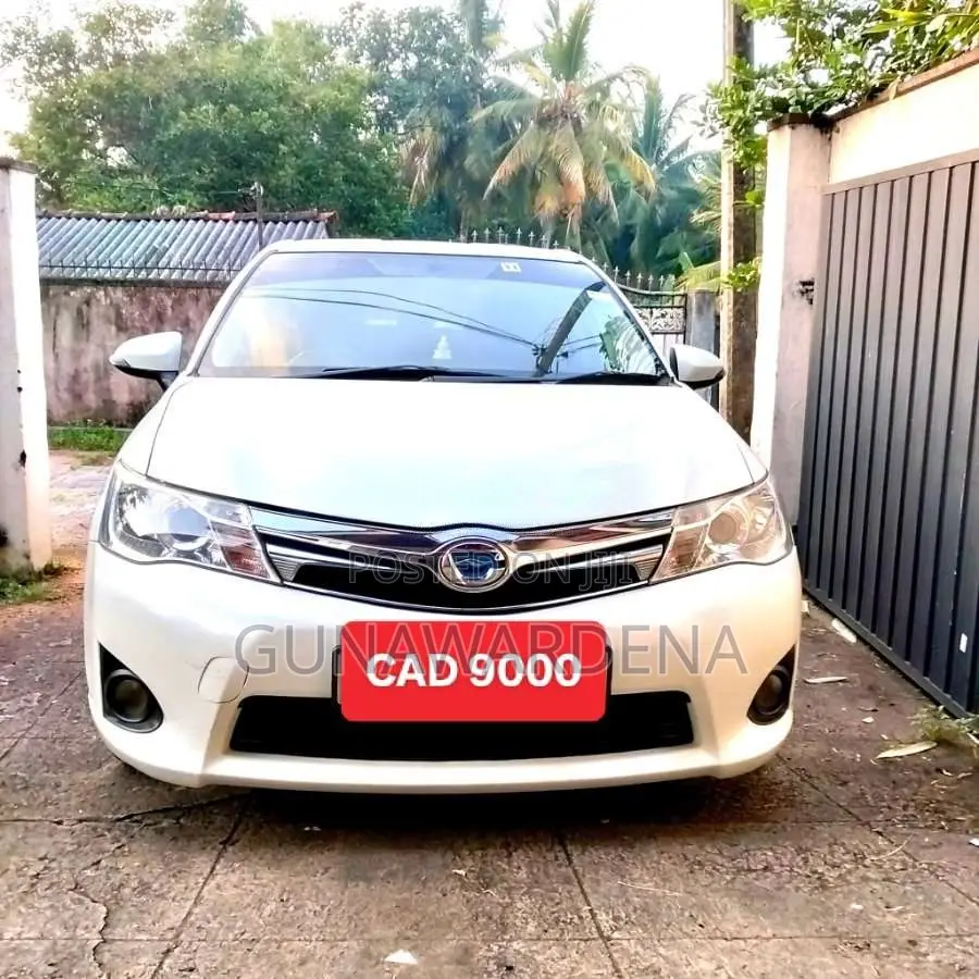 Toyota Axio 2014 Car (Used)