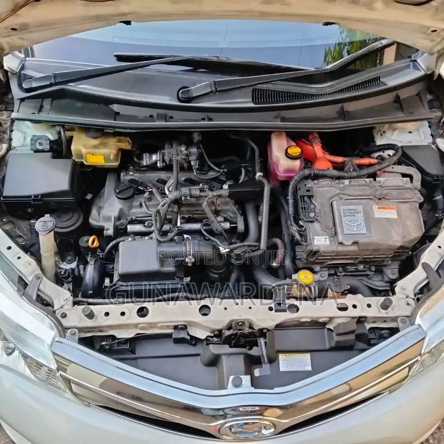 Toyota Axio 2014 Car (Used)