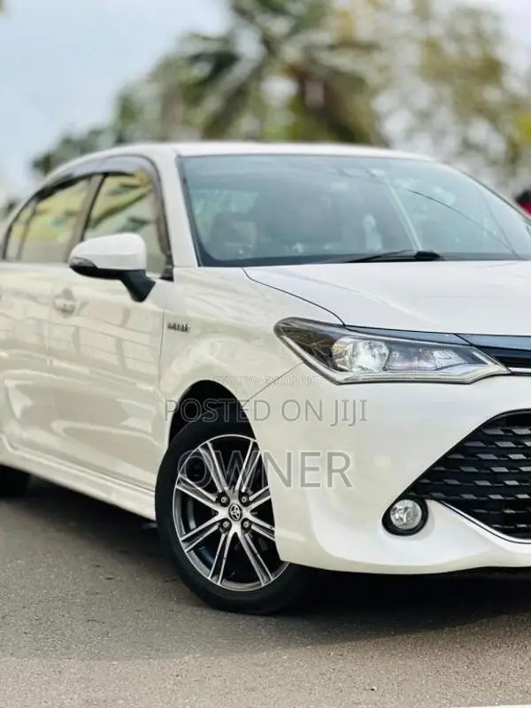 Toyota Axio 2017 Car (Used)