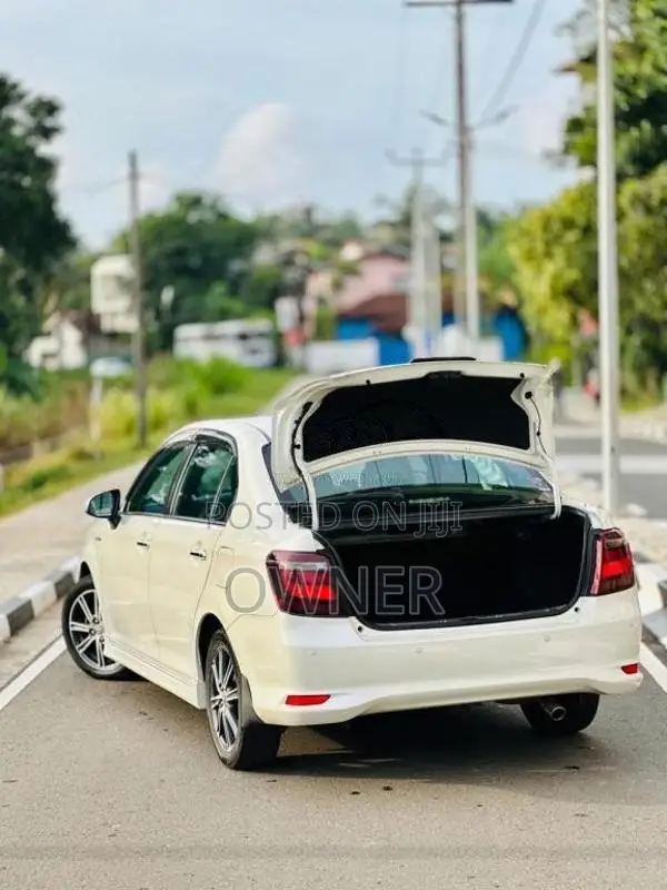 Toyota Axio 2017 Car (Used)