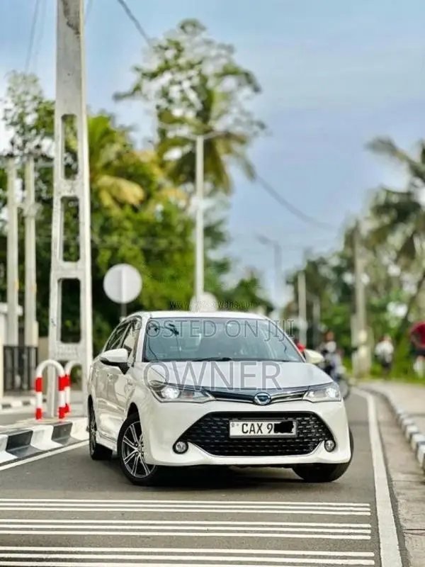Toyota Axio 2017 Car (Used)