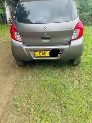 Suzuki Celerio 2015 Car (Used)