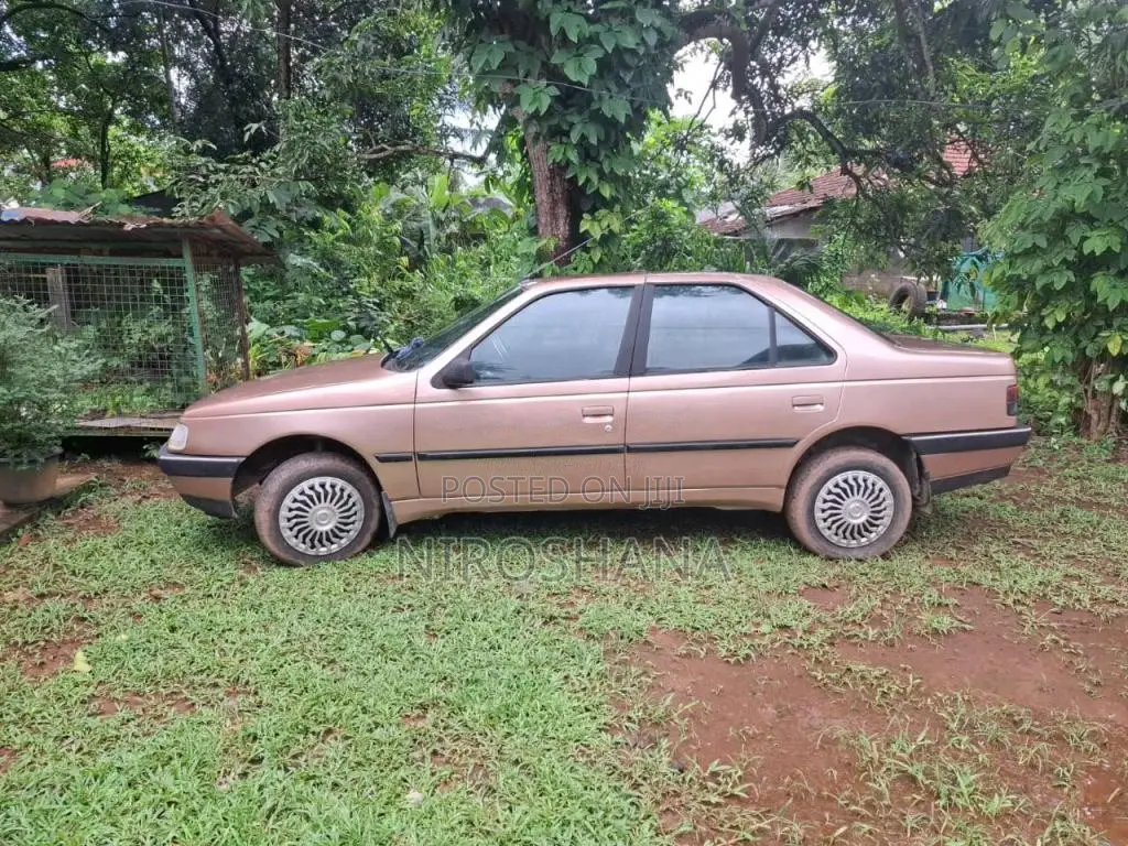 Peugeot 405 1995 Car (Used)