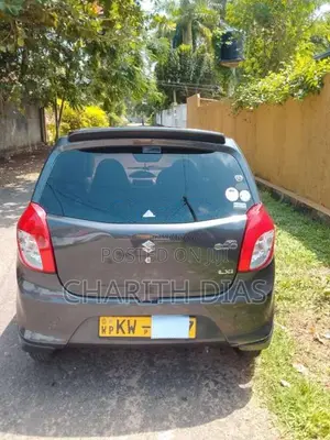 Suzuki Alto 2013 Car (Used)