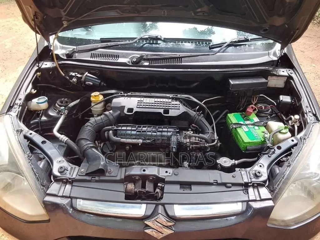 Suzuki Alto 2013 Car (Used)