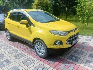 Ford Titanium Eco Sport 2014 Car (Used)