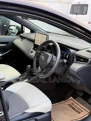 Toyota Corolla WXB Midnight Purple 2023 Car (Used)