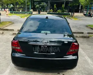 Toyota Axio G Grade 2009 Car (Used)