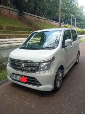 Suzuki Wagon R 2014 Car (Used)