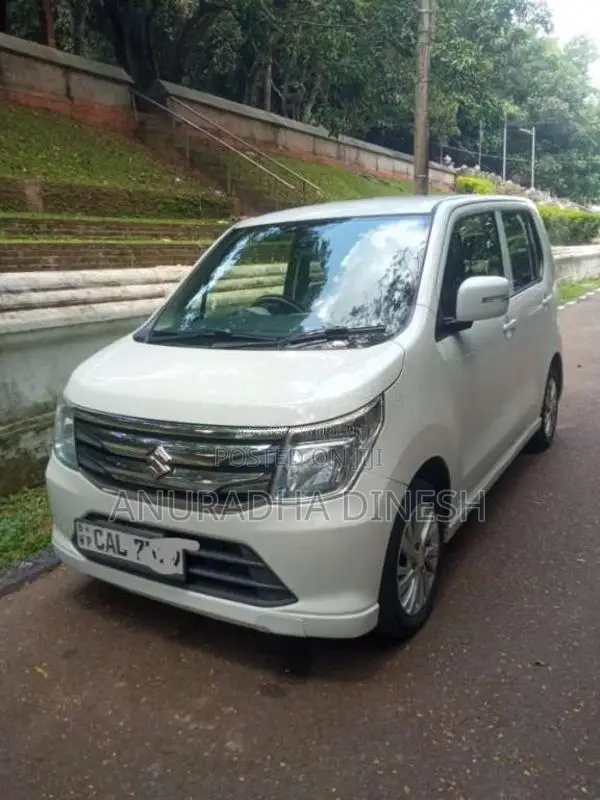 Suzuki Wagon R 2014 Car (Used)