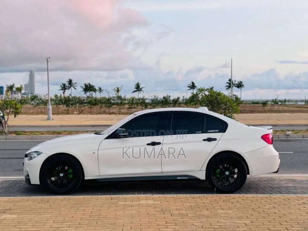BMW 316i 2014 Car (Used)