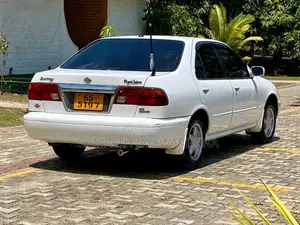 Nissan Sunny SB14 1996 Car (Used)