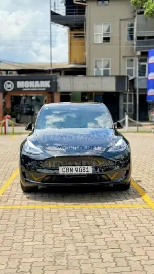 Tesla Model Y 2024 Car (Used)